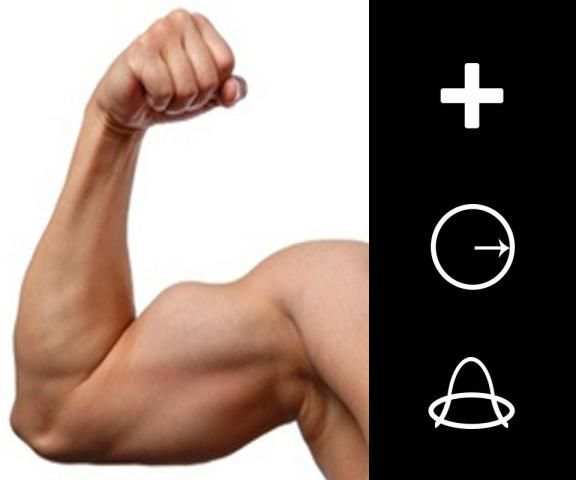 Muscle Editor - Bodybuilding स्क्रीनशॉट 2