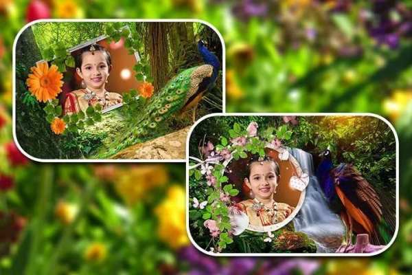Peacock Photo Frames HD 3 تصوير الشاشة