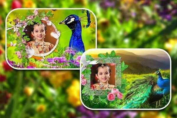 Peacock Photo Frames HD 2 تصوير الشاشة