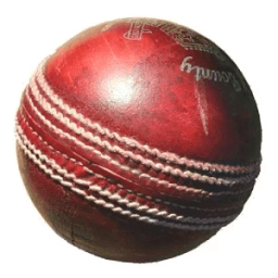 Blind Cricket आइकन