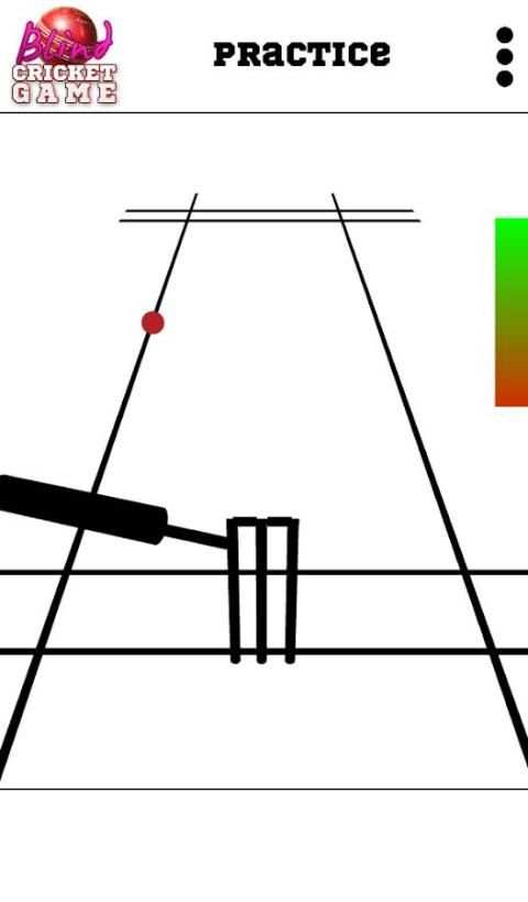 Blind Cricket स्क्रीनशॉट 1