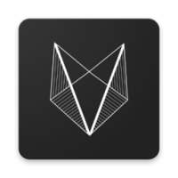 Collective Visionnaire