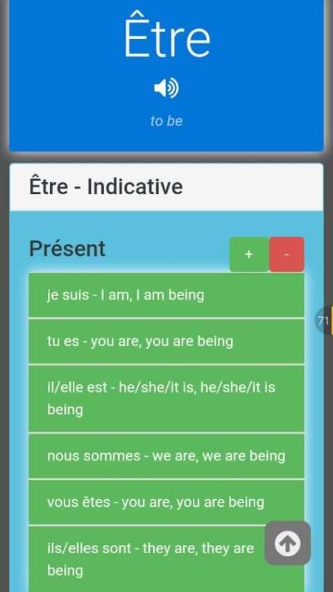 100 French Verbs Lite screenshot 9