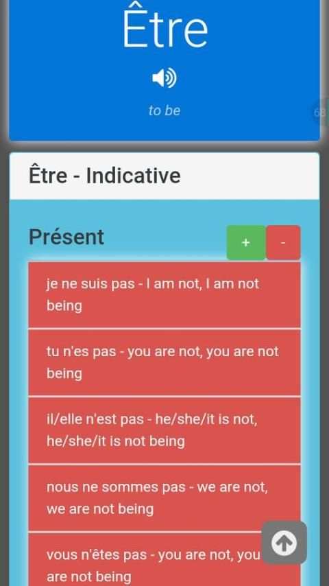 100 French Verbs Lite screenshot 8