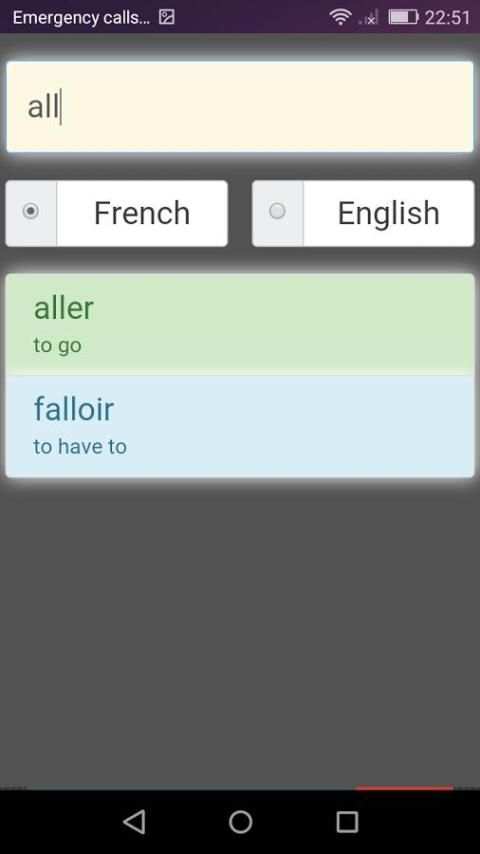 100 French Verbs Lite screenshot 6