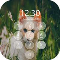 Kitty Cat Pin Lock Screen