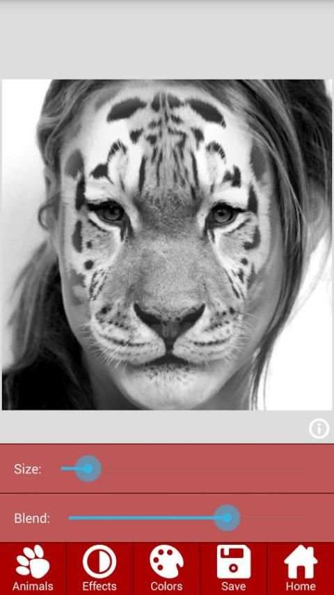 Animal Faces - Face Morphing screenshot 8