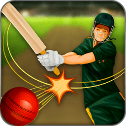 Mauka Mauka Cricket Game - Championship Fun Game icon