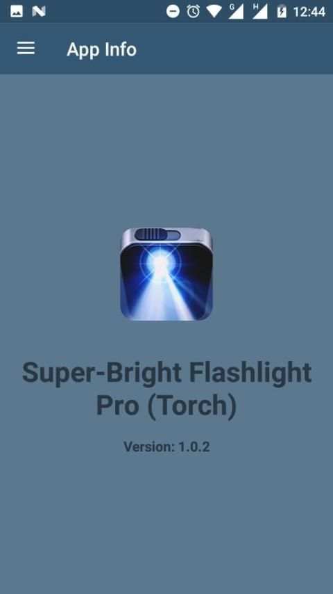 Super-Bright Flashlight Pro (Torch) + Led Clock 6 تصوير الشاشة