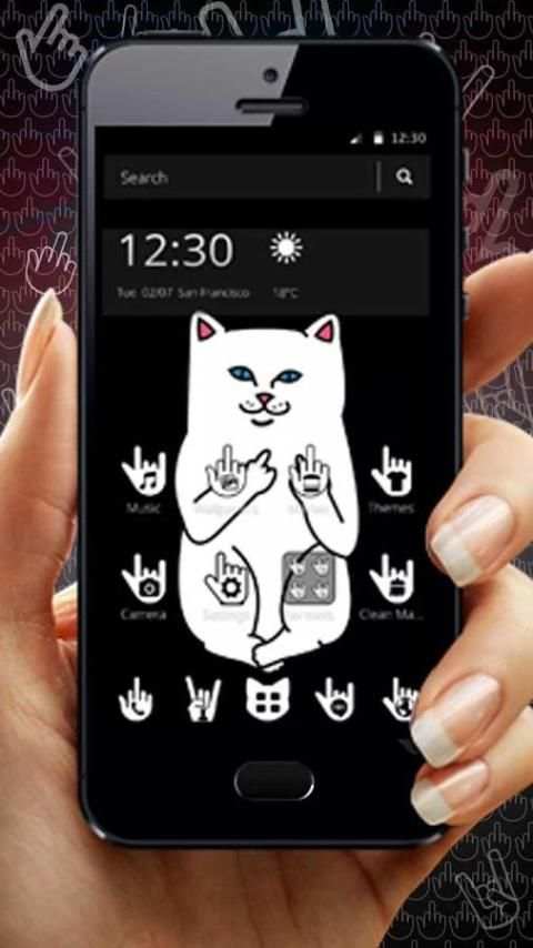 cute kitten theme 1 تصوير الشاشة