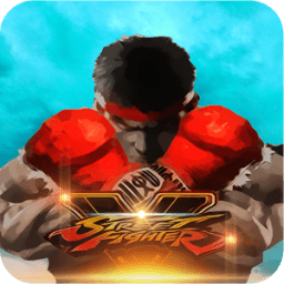 ikon Leguide Street Fighter 5 Pro