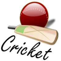 Easy Cricket
