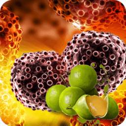 Tratamiento del cáncer con fruta de Huaya