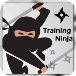 ikon Training Ninja