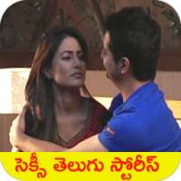 Telugu Sarsam Stories icon