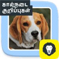 Pet Care Tips Dog Health Care Advice Tamil on 9Apps