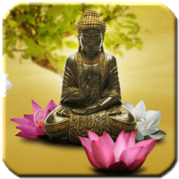 Buddhism - HD Wallpapers आइकन