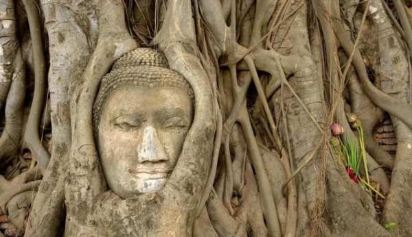 Buddhism - HD Wallpapers 5 تصوير الشاشة