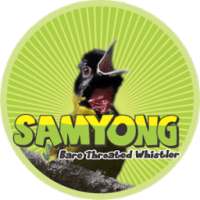 Samyong on 9Apps