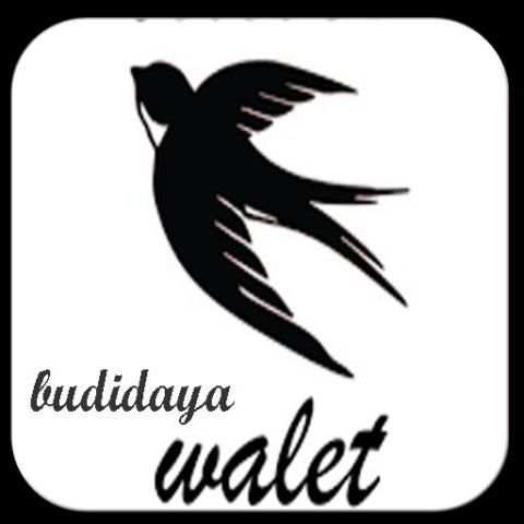 Suara Pemikat Burung Walet screenshot 4