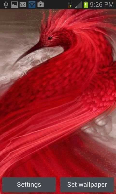 Red Bird Live Wallpaper screenshot 3