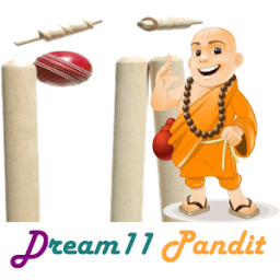Dream11 Pandit icon