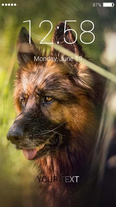 German Shepherd Dog Lock Screen screenshot 3