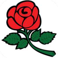 Rosas Hermosas Para Compartir on 9Apps