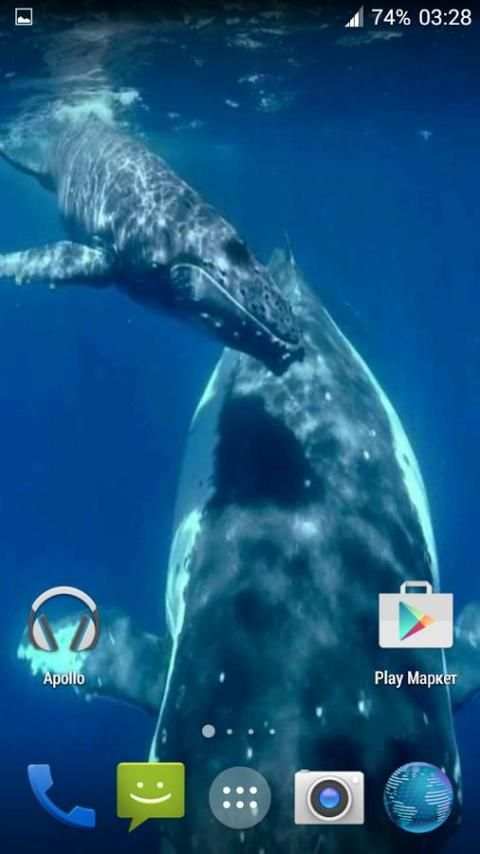 Whale 3D. Video wallpaper 4 تصوير الشاشة