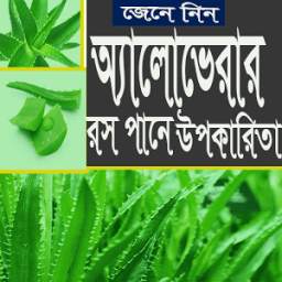 অ্যালোভেরার ঔষধি গুণাগুণ 1.0.0