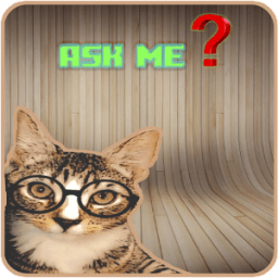 Asking cat icon