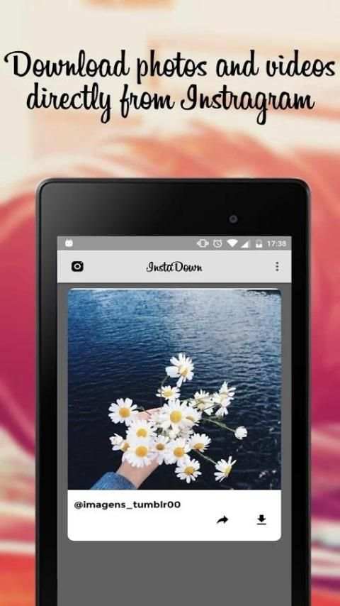 InstaDown - Download Instagram photos and stories screenshot 3