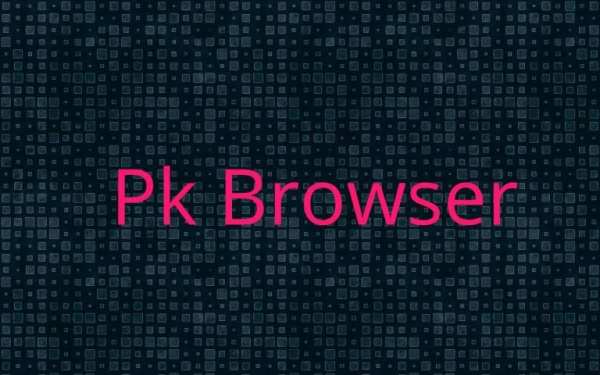 Pk Browser скриншот 3