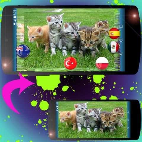 Face flag photo soccer screenshot 4