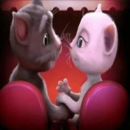 amor de tom y angela 1.5