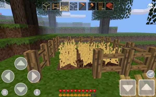 Mega Craft : Exploration Pro Edition screenshot 5