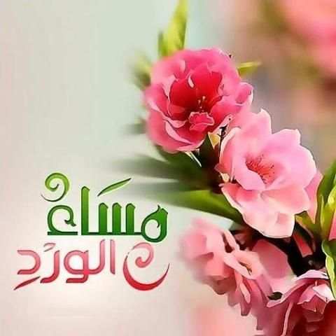 صور مساء الخير screenshot 3
