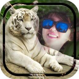 White Tiger Photo Frames