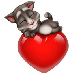 TOM TE AMO иконка