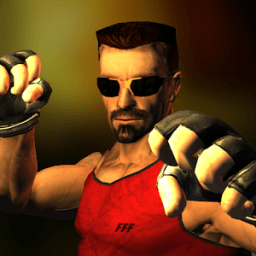 Ultimate Street Fight иконка