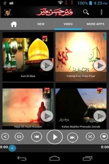 Mir Hasan Mir Official screenshot 22