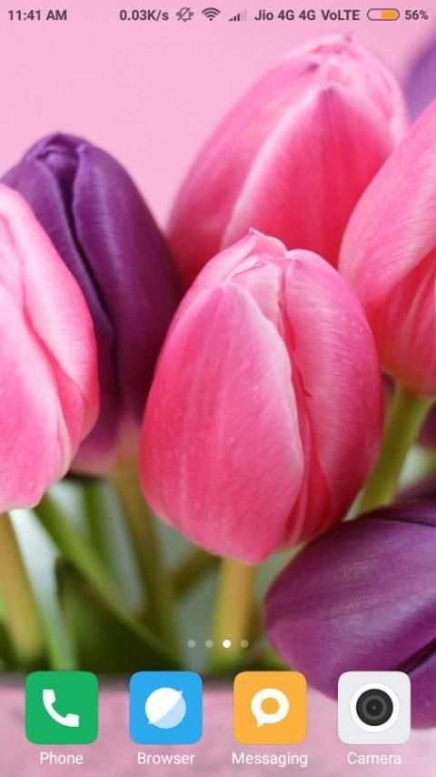 Tulips Flower Wallpaper screenshot 2