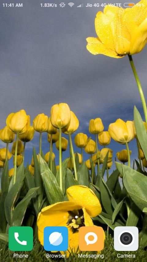 Tulips Flower Wallpaper screenshot 3