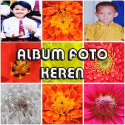 Album Foto 1.0