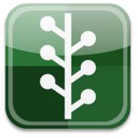 English Literature Lectureship Guide on 9Apps