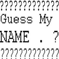 Guess My Name