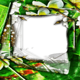 Photo Frames Jili Keys icon