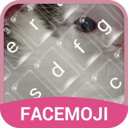 ikon Lovely Kitten Bubble Keyboard Theme for Snapchat