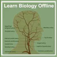 Learn Biology Offline - Free