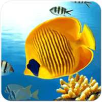 Fish Wallpaper on 9Apps
